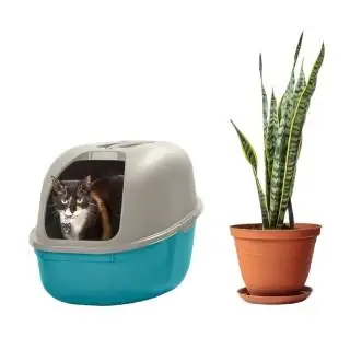 Arenero para gato azul gris UBQ Rimax