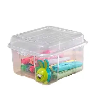 Caja organizadora 2.5LT Natural Vanyplas